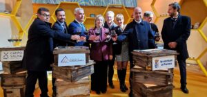 Feria Apícola de Pastrana 2024
