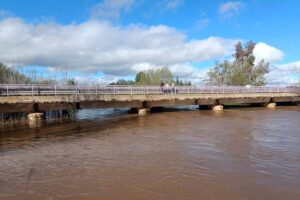 Vista del río Bañuelos a su paso por la localidad de Malagón este viernes. Foto: EFE/Beldad.
