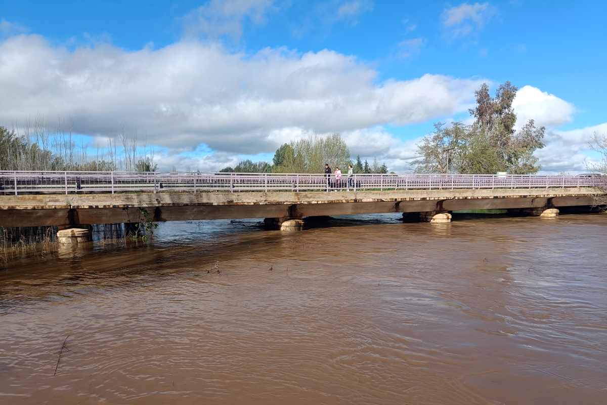 Vista del río Bañuelos a su paso por la localidad de Malagón este viernes. Foto: EFE/Beldad.