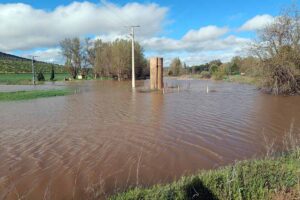 Imagen del río Bañuelos a punto de desbordarse. Foto: EFE(Beldad).