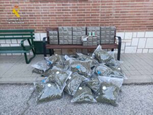 Parte de la droga incautada por los agentes de la USECIC