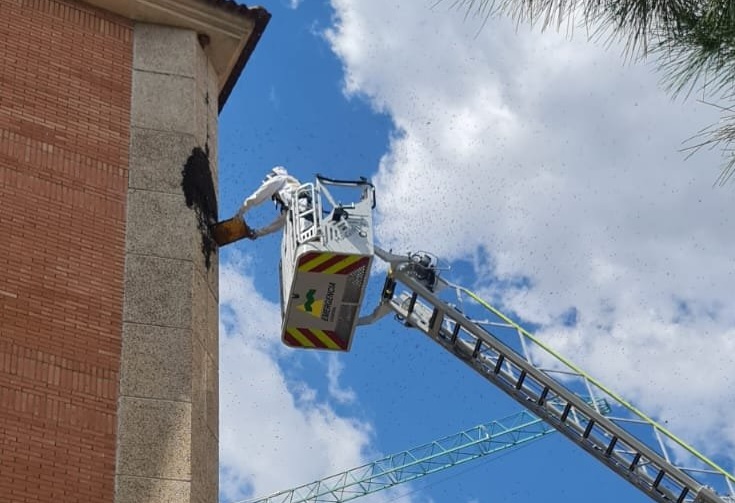 Un bombero retirando el enjambre