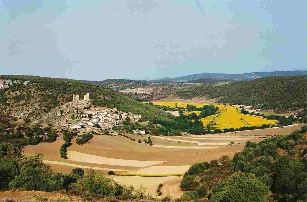 campo de girasoles