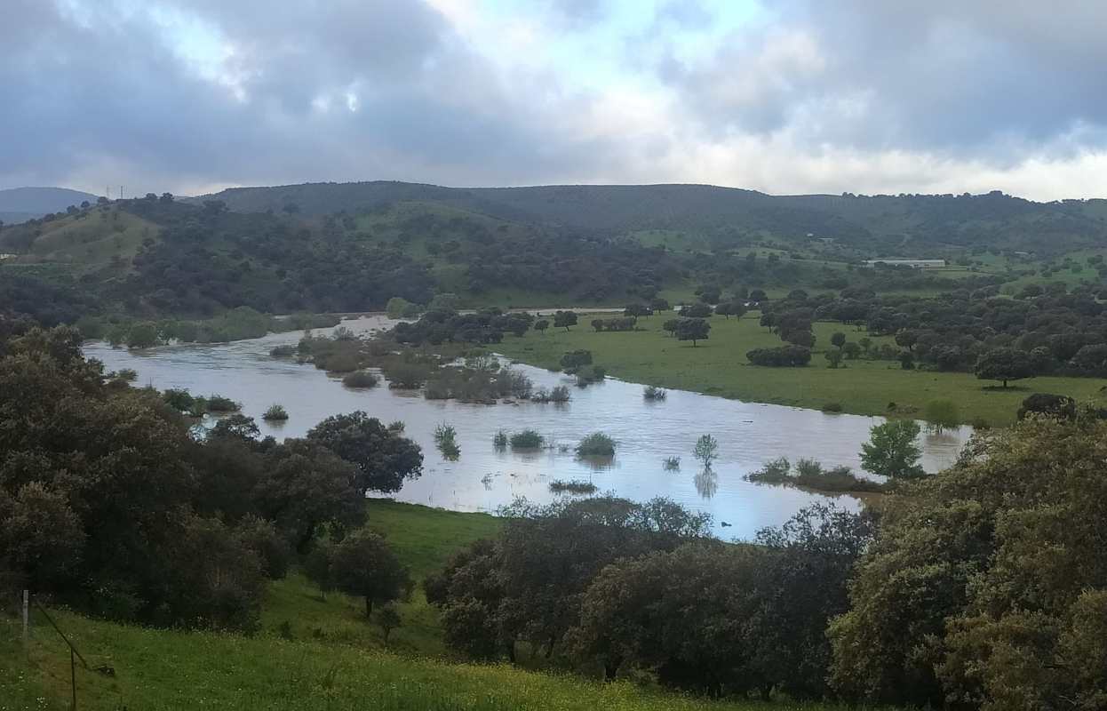 El Guadiana este lunes, a su paso por Puebla de don Rodrigo.