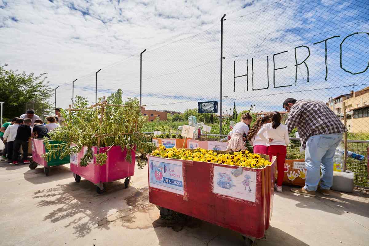 Alumnos de coles públicos de Talavera crean huertos en contenedores. Foto: EFE/Manu Reino.
