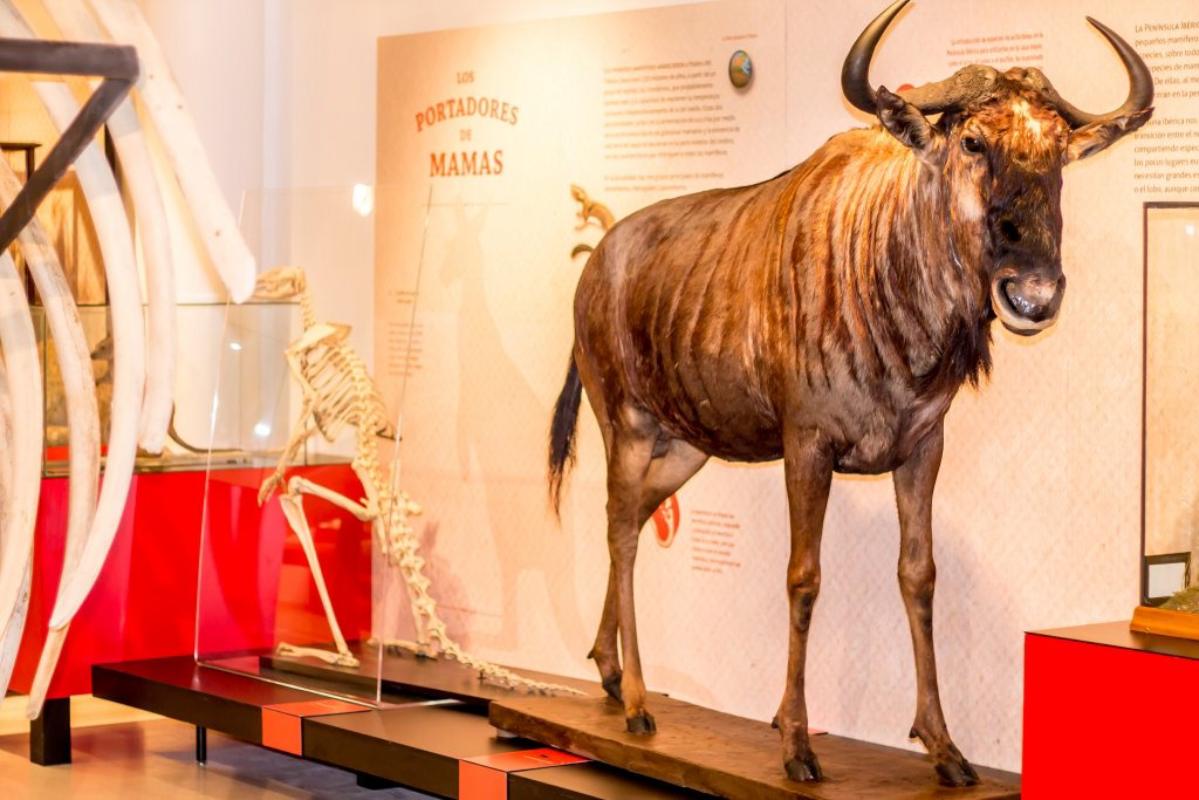 Este museo yebenoso está enclavado en la falda de los Montes de Toledo.