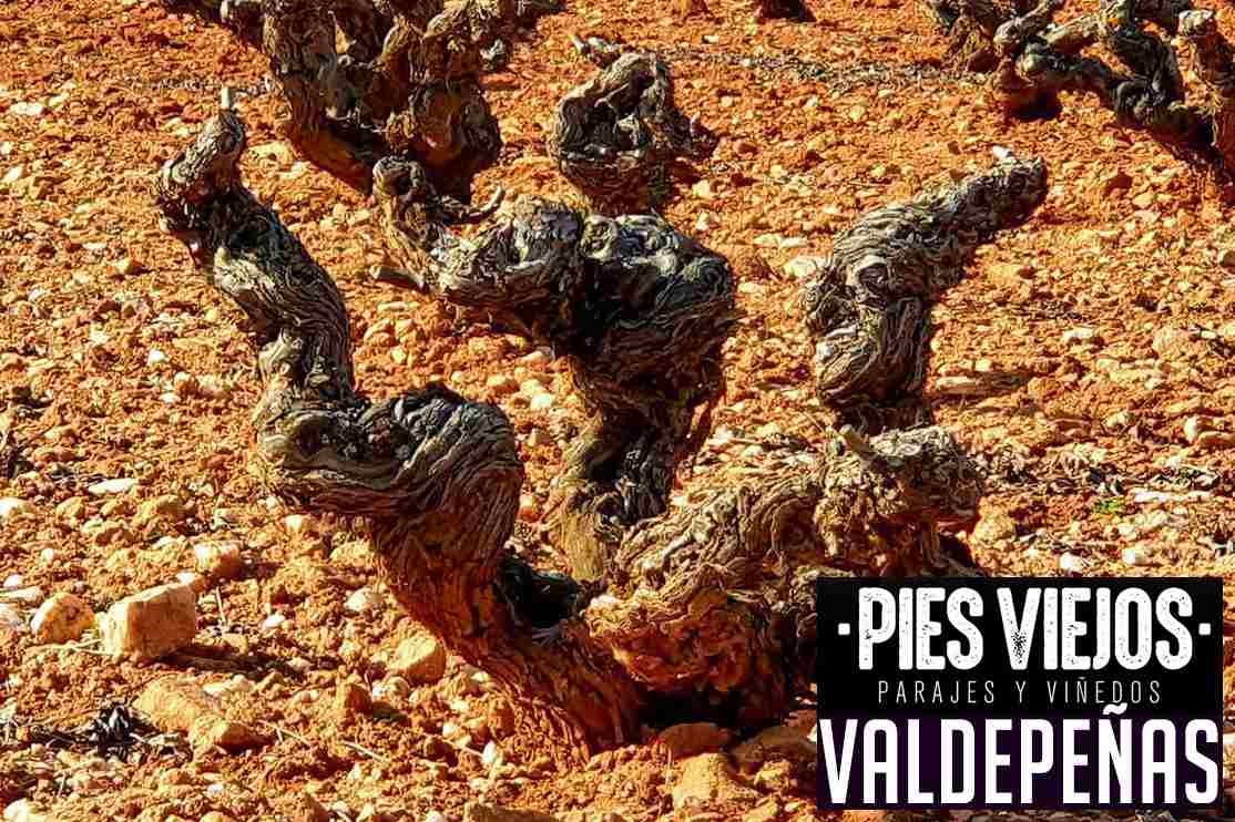 vinos ‘Pies Viejos’