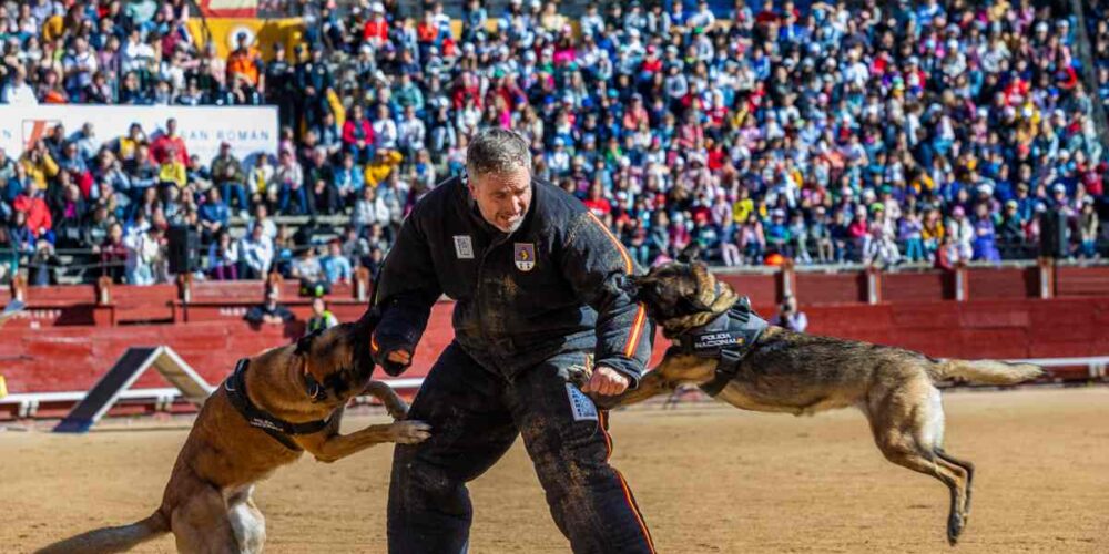 Exhibición de unidades policiales con motivo del Bicentenario de la Policía Nacional. EFE/Ángeles Visdómine