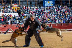 Exhibición de unidades policiales con motivo del Bicentenario de la Policía Nacional. EFE/Ángeles Visdómine