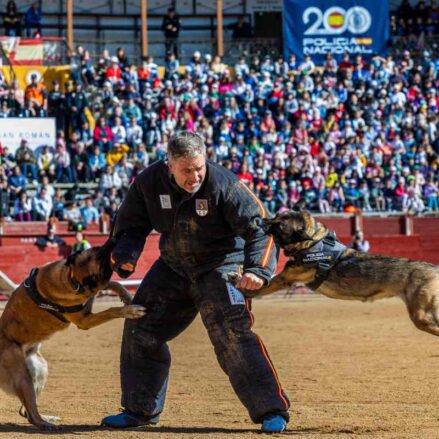 Exhibición de unidades policiales con motivo del Bicentenario de la Policía Nacional. EFE/Ángeles Visdómine