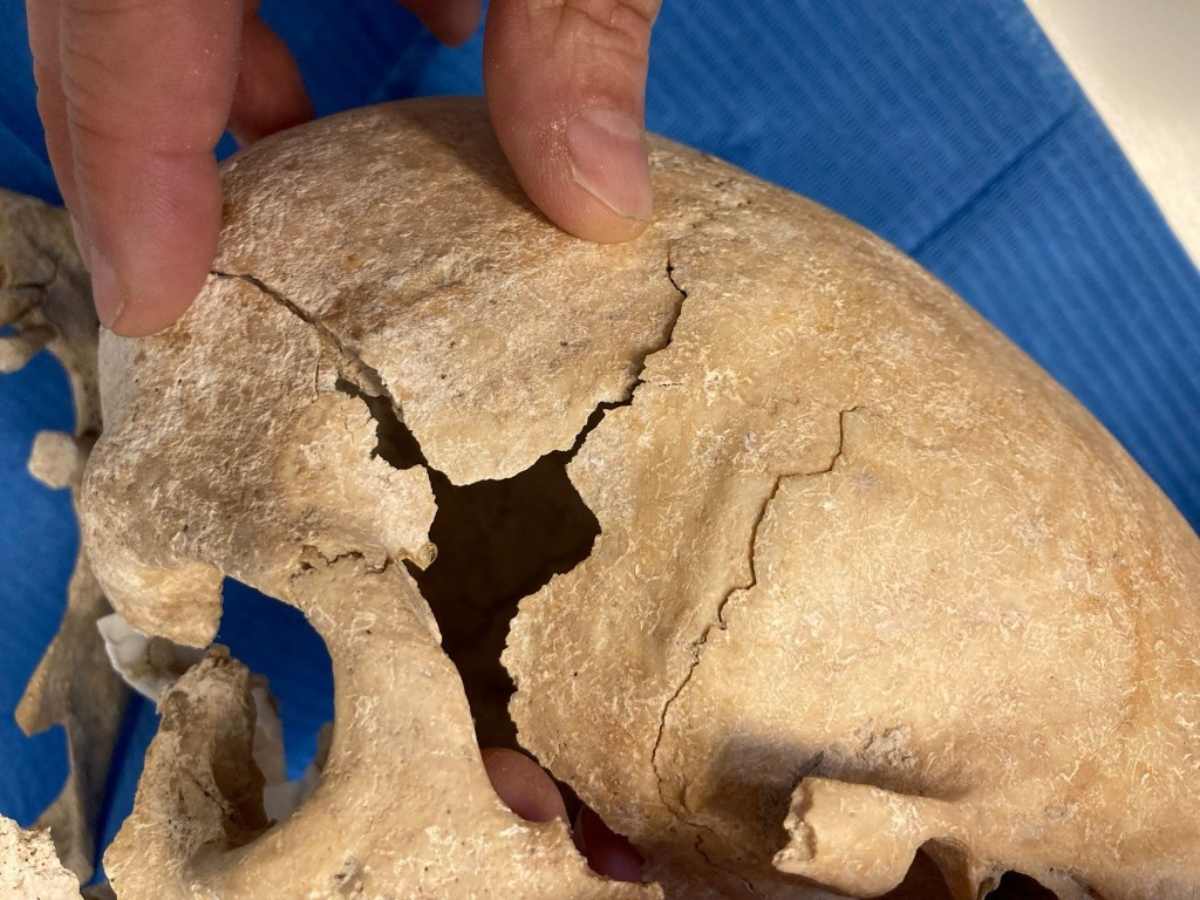 Restos óseos encontrados en Zorita de los Canes (Guadalajara)