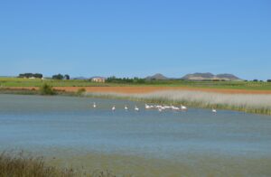 Laguna de Pétrola. Imagen FEDME