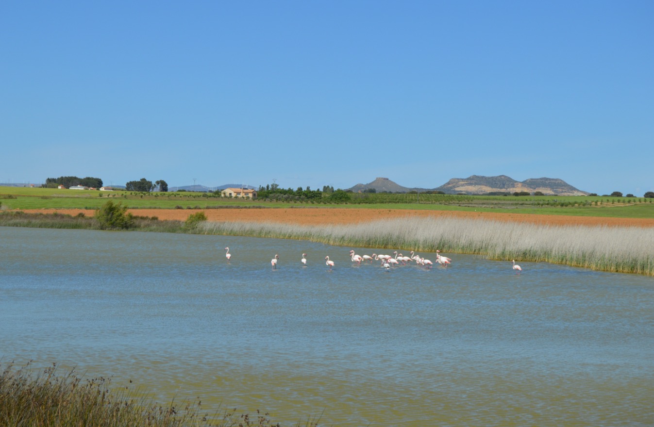 Laguna de Pétrola. Imagen FEDME