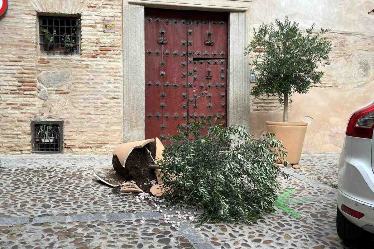 civismo-toledo-planta-rota