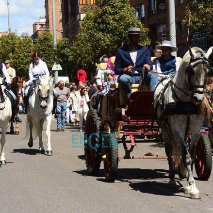 Colorido y multitudinario desfile de San Isidro en Talavera. Foto: Rebeca Arango.