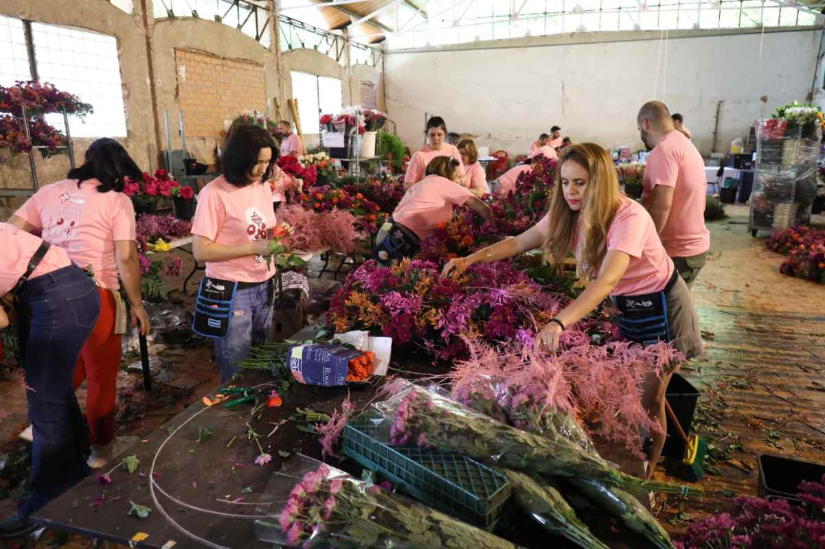 Los floristas se afanan para dejar todo listo en la procesión del Corpus Christi, en Toledo.