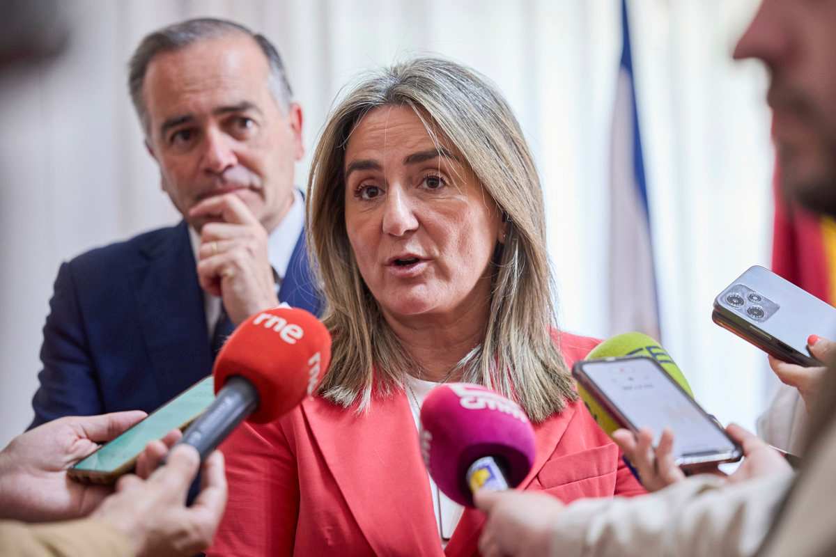 La delegada del Gobierno en Castilla-La Mancha, Milagros Tolón