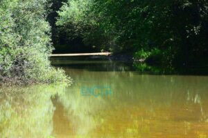Playa de Escalona. Imagen de archivo: Rebeca Arango.