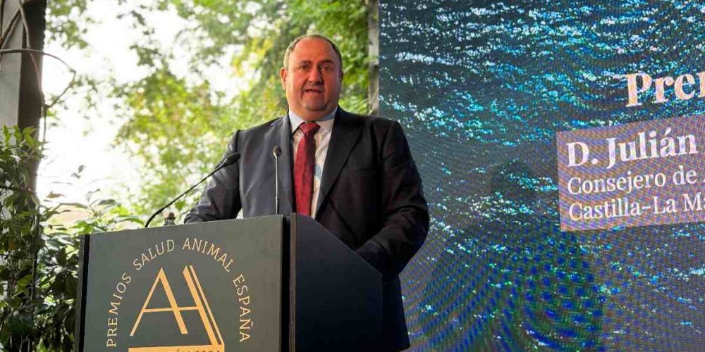 Julián Martínez Lizán