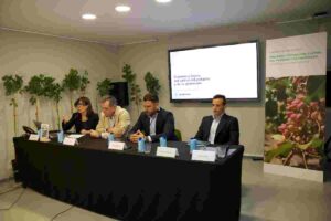 Presentación estudio pistacho