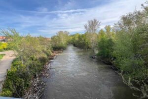 Río Henares a su paso por Guadalajara
