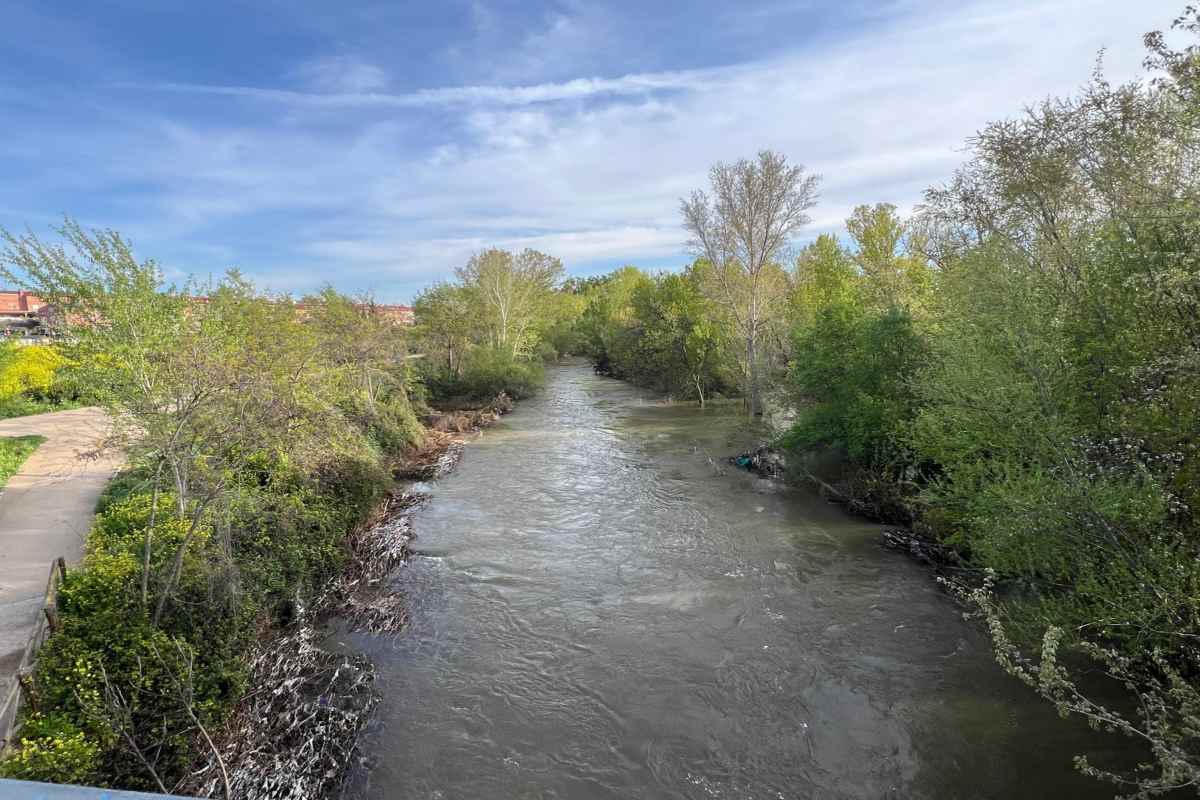 Río Henares a su paso por Guadalajara