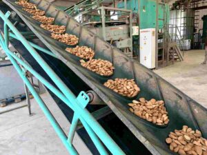 almendras