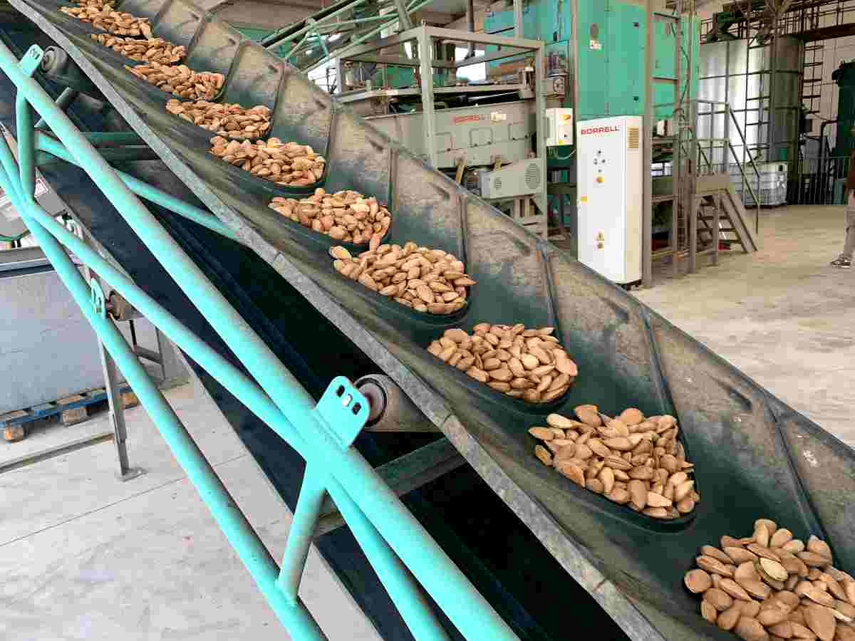 almendras