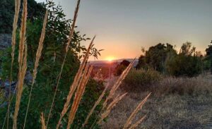 Verano atardecer campo anochecer, castilla-la mancha