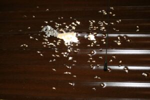 Imagen de los proyectiles en la vivienda.