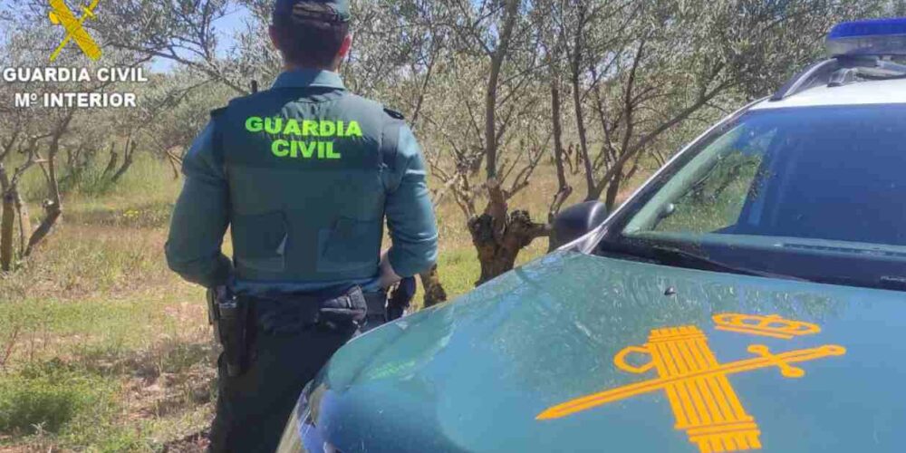 Imagen de un efectivo de la Guardia Civil (archivo).