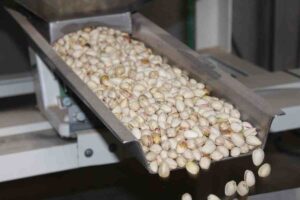 pistachos