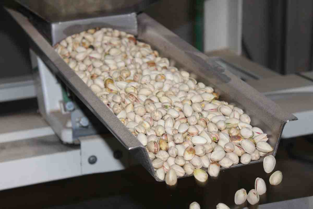pistachos