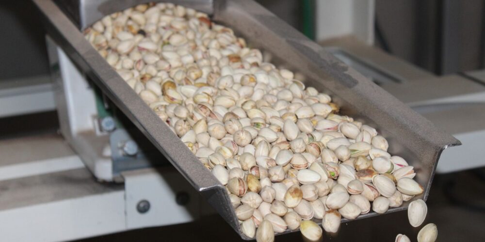 Pistachos