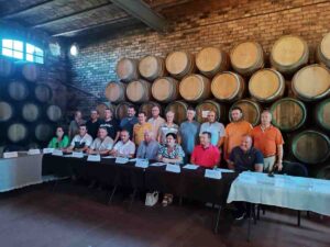 Cooperativas Campo de Montiel