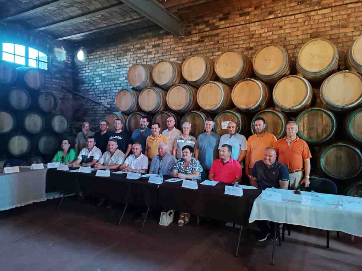 Cooperativas Campo de Montiel