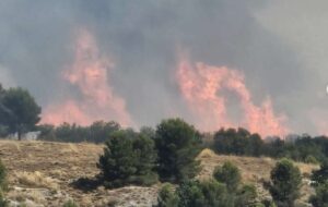 Imagen del incendio de Borox. Foto: CMM.