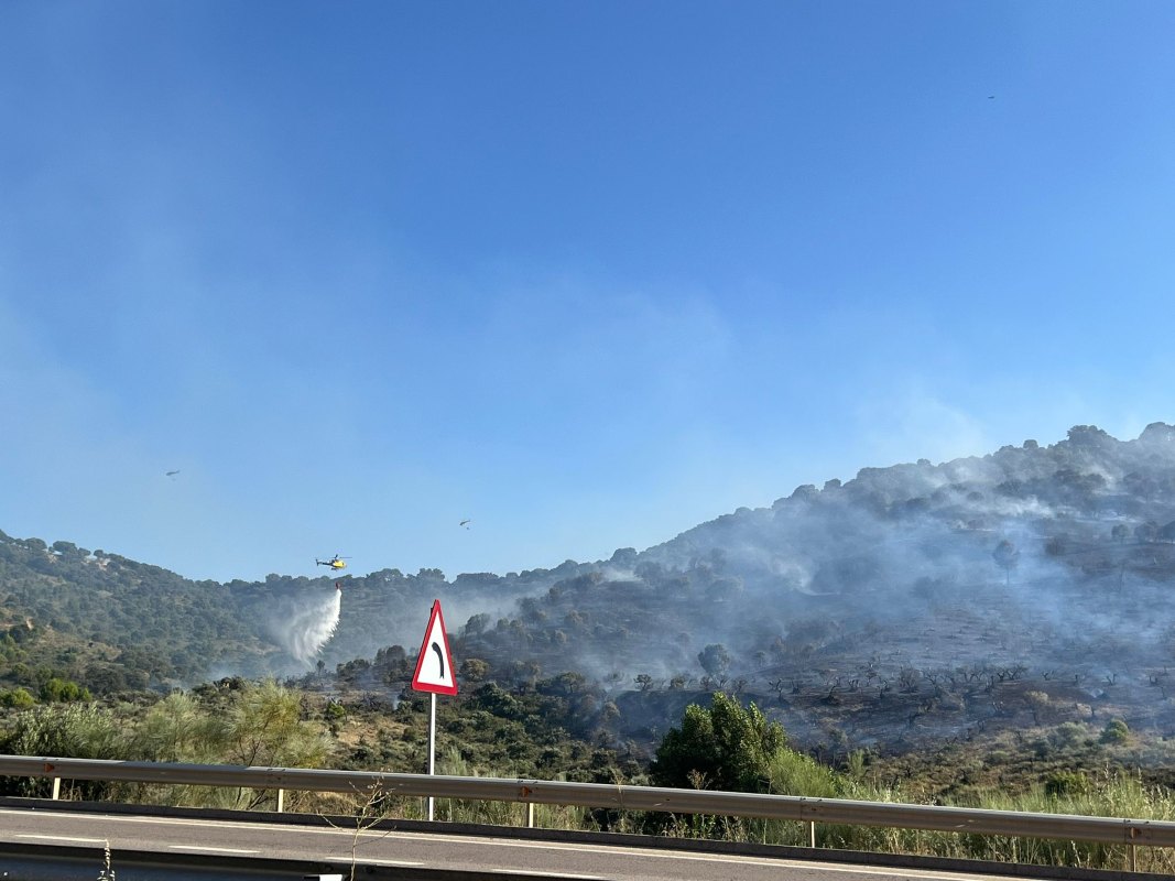 Incendio declarado en la parte trasera del Casino Club de Campo de Guadalajara. Foto: María Gil.
