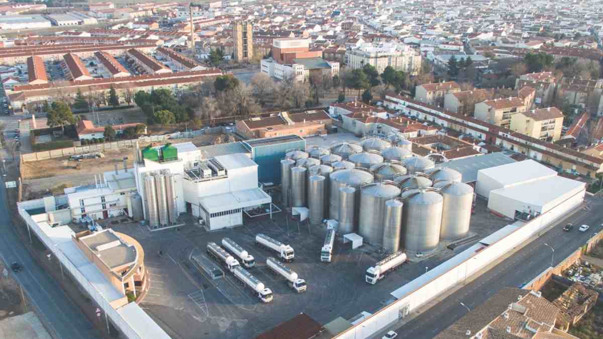 Mostos Españoles