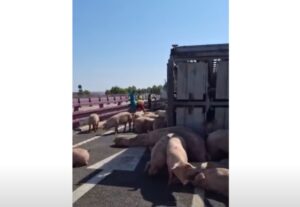 Imagen del accidente.