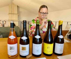 vinos do méntrida