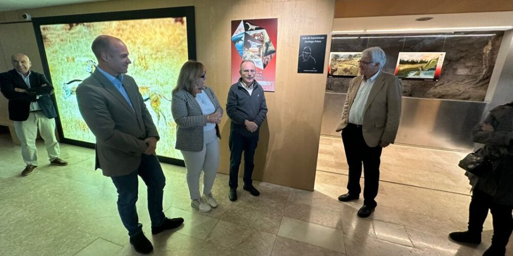Nueva sala expositiva en el Museo de Paleontología de CLM.