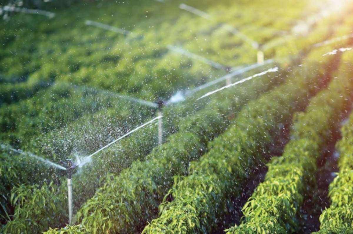 Imagen de archivo de una explotación agrícola con regadío