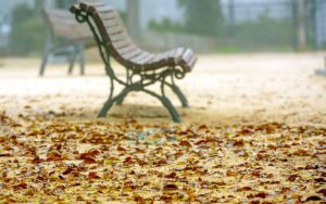 Otoño, tiemplo, clima