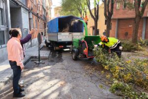 La campaña de poda en Ciudad Real llegará a más de 15.000 árboles
