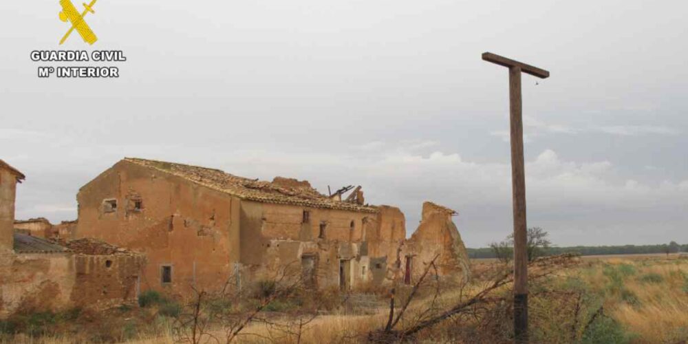 Las aves fueron localizadas en un área de conservación denominado Albacete-Barrax-La Roda