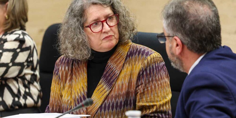 La consejera de Desarrollo Sostenible, Mercedes Gómez, durante su comparecencia hoy viernes en la Comisión de Economía y Presupuestos de las Cortes para desgranar las principales partidas de su departamento incluidas en los presupuestos de la Junta para 2025. EFE / Ismael Herrero.