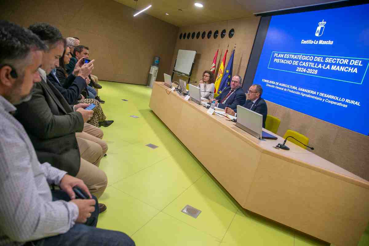 plan estratégico del pistacho