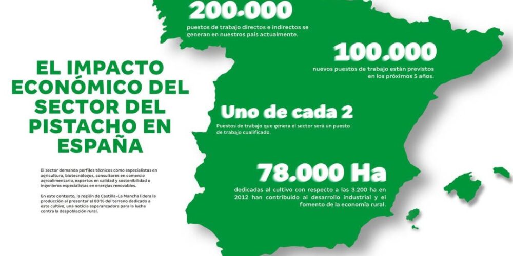 infografía pistacho