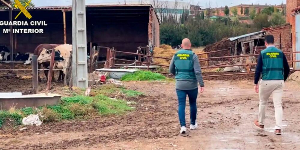 robos en el campo
